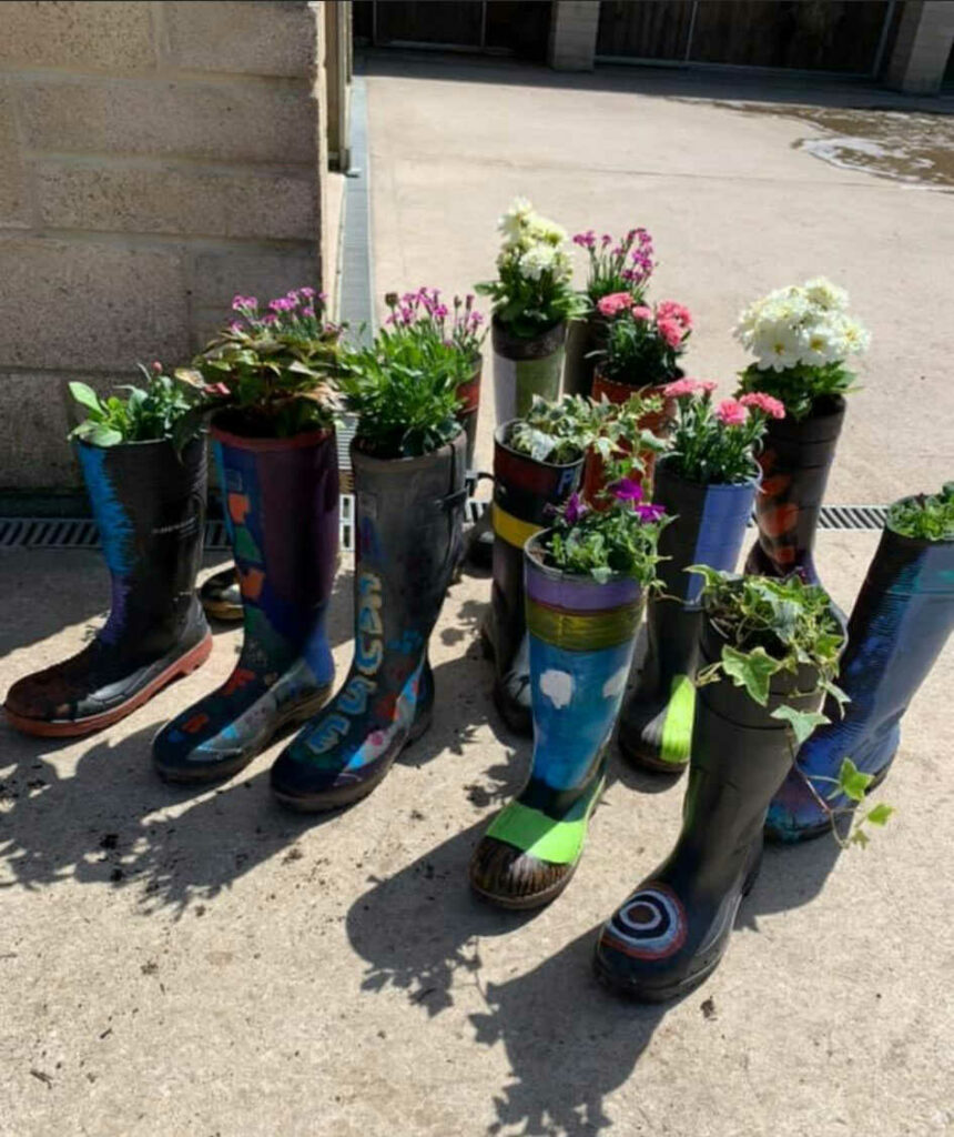 plants growing in wellies